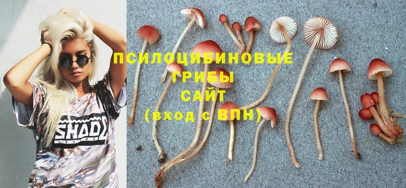 Галлюциногенные грибы Cubensis Баксан